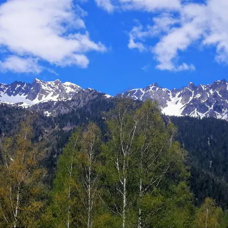 Le Chamoniard Volant