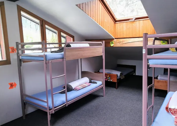 Le Chamoniard Volant * 霞慕尼