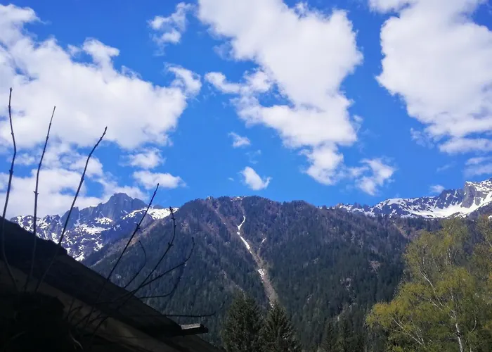 Le Chamoniard Volant 旅馆 *